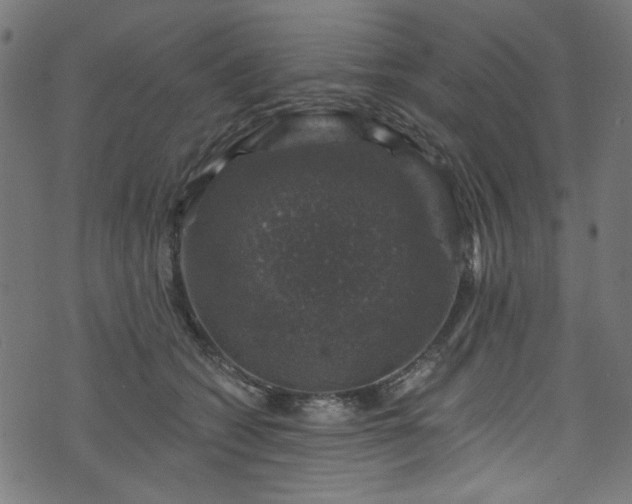 X0000074040562200608281447