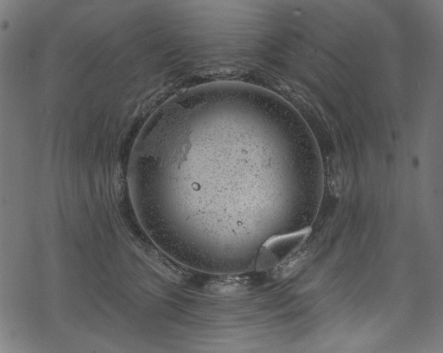 X0000074040563200608281447