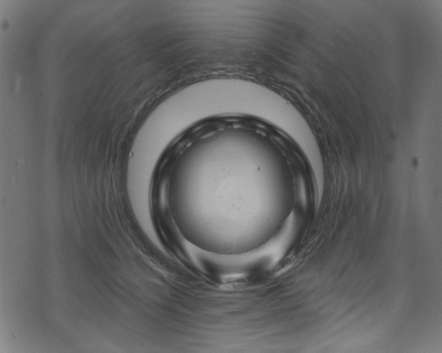 X0000074040564200608281447