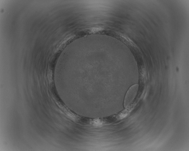 X0000074040565200608281447