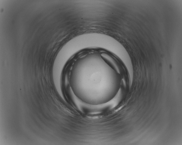 X0000074040566200608281447