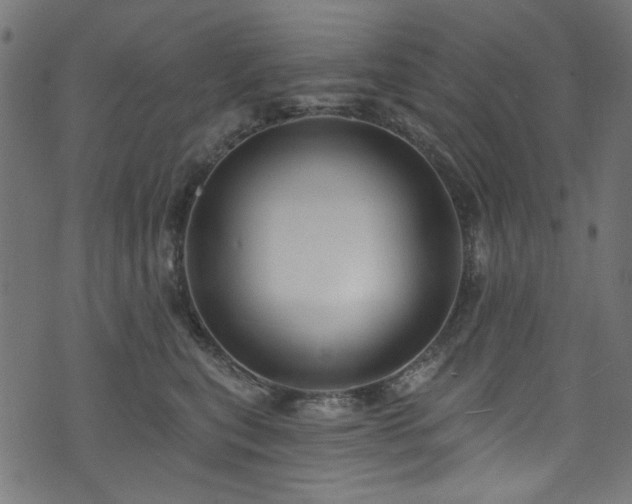 X0000074040567200608281447