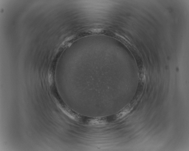 X0000074040568200608281447