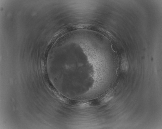 X0000074040569200608281447