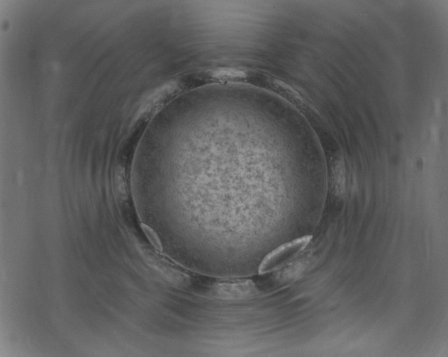 X0000074040571200608281447