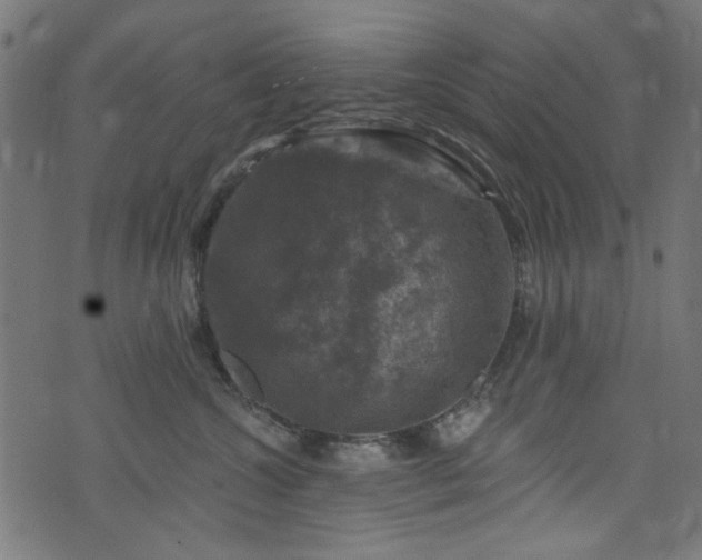 X0000074040572200608281447