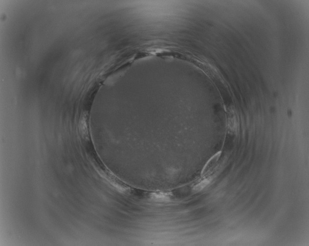 X0000074040573200608281447