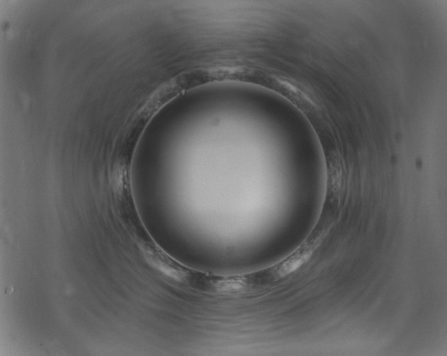 X0000074040574200608281447