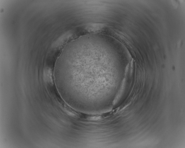 X0000074040575200608281447