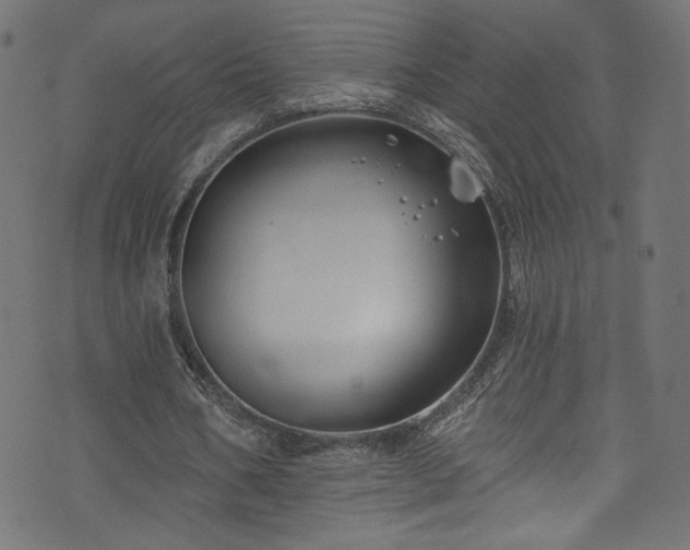 X0000074040578200608281447