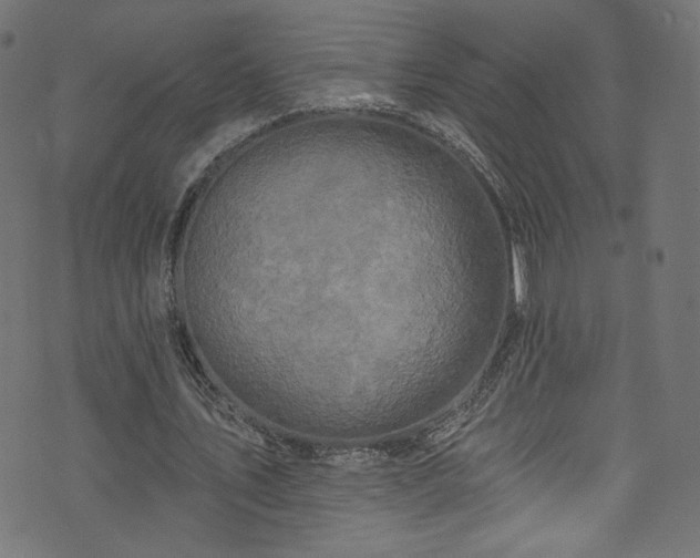 X0000074040579200608281447