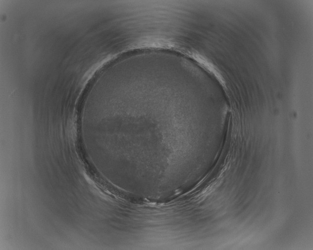 X0000074040580200608281447