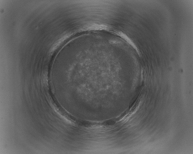 X0000074040581200608281447