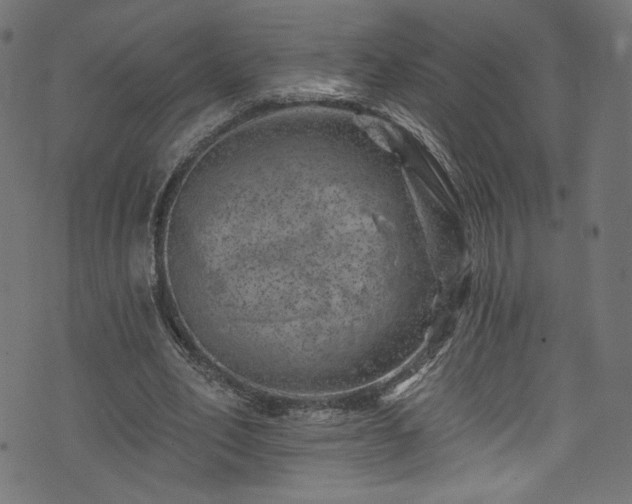 X0000074040582200608281447