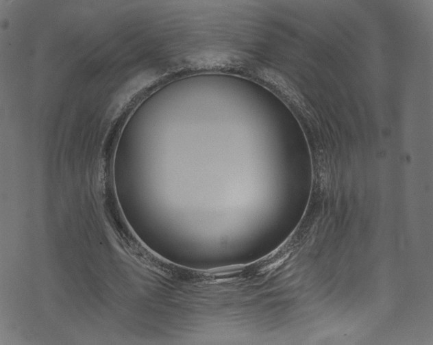 X0000074040583200608281447