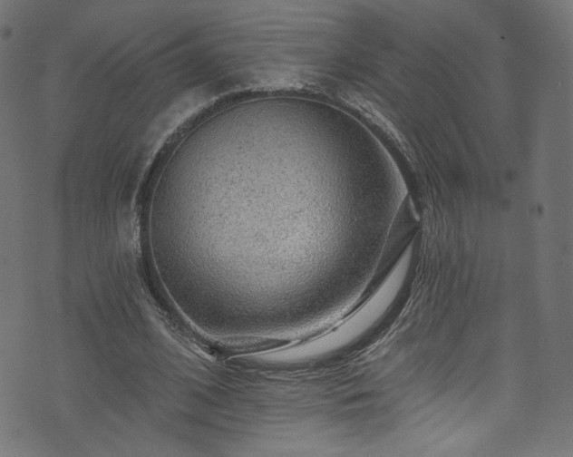 X0000074040584200608281447