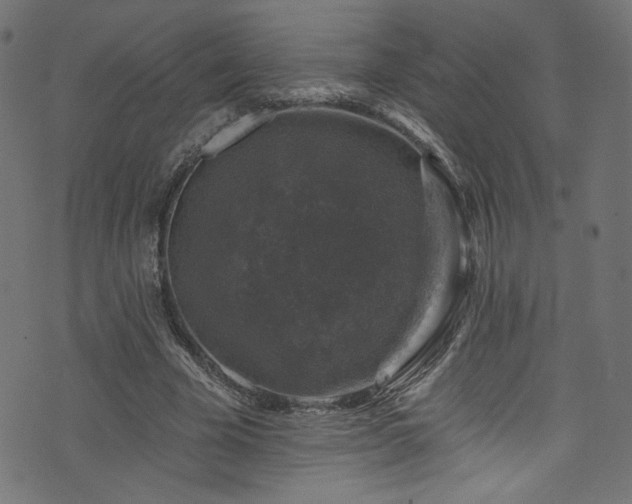 X0000074040585200608281447