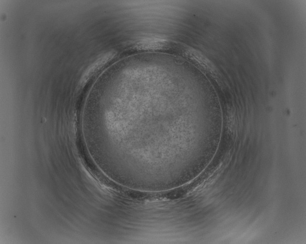 X0000074040586200608281447