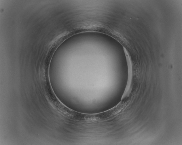 X0000074040587200608281447