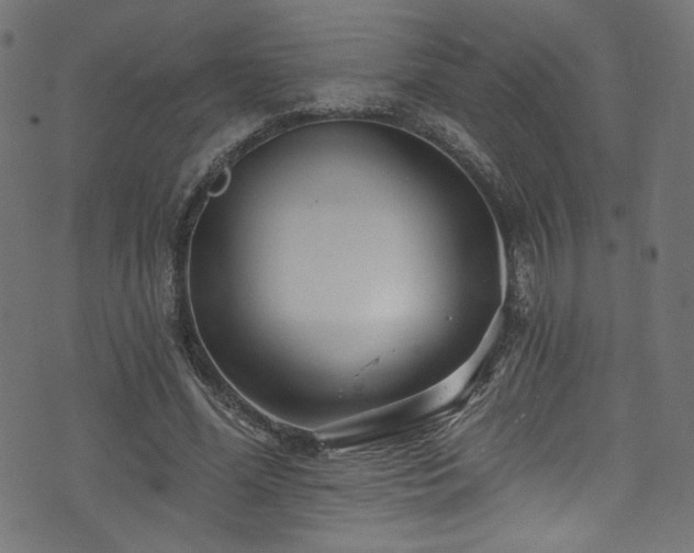 X0000074040588200608281447