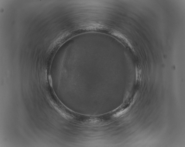 X0000074040589200608281447