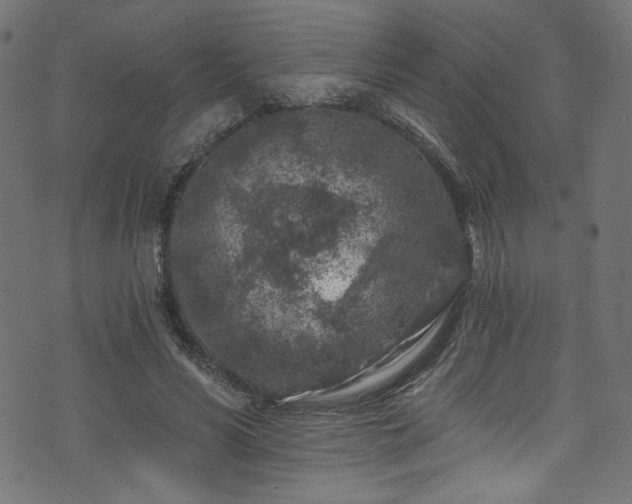 X0000074040590200608281447