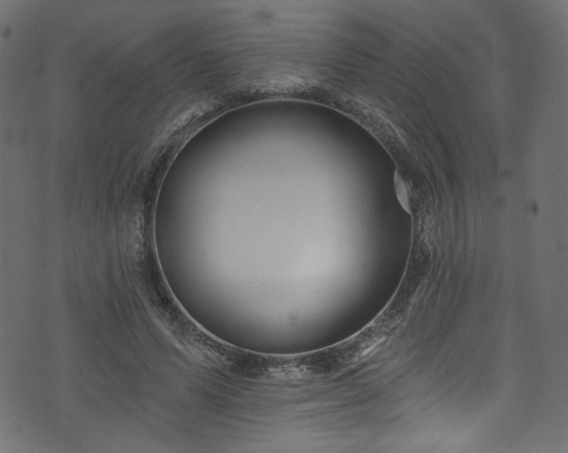 X0000074040591200608281447