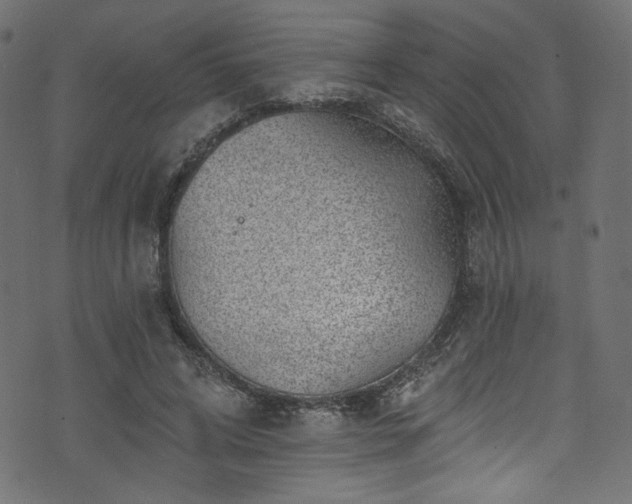 X0000074040592200608281447