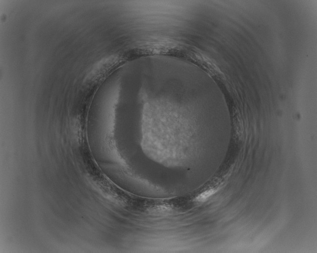 X0000074040594200608281446