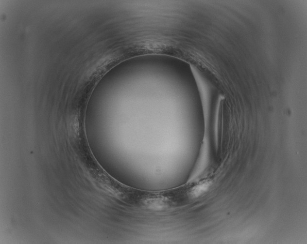 X0000074040595200608281446