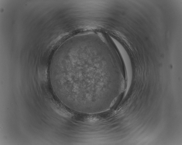 X0000074040596200608281446