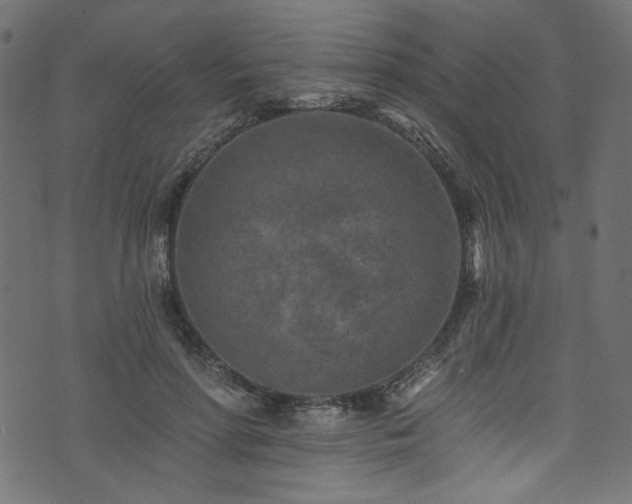 X0000074040598200608281446