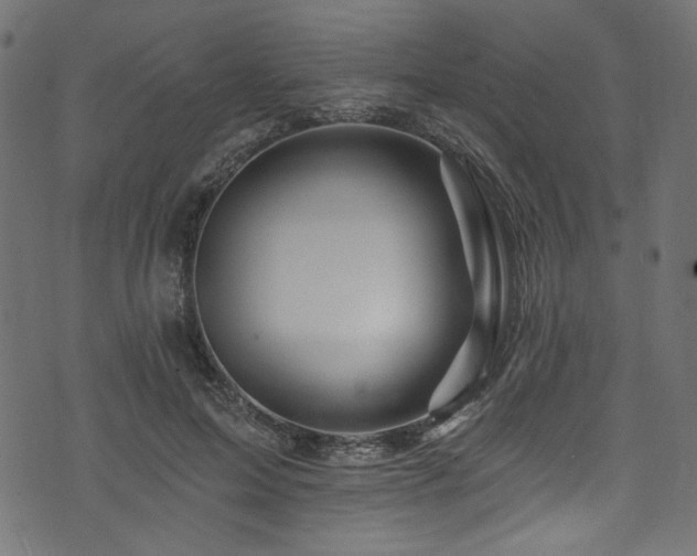 X0000074040599200608281446