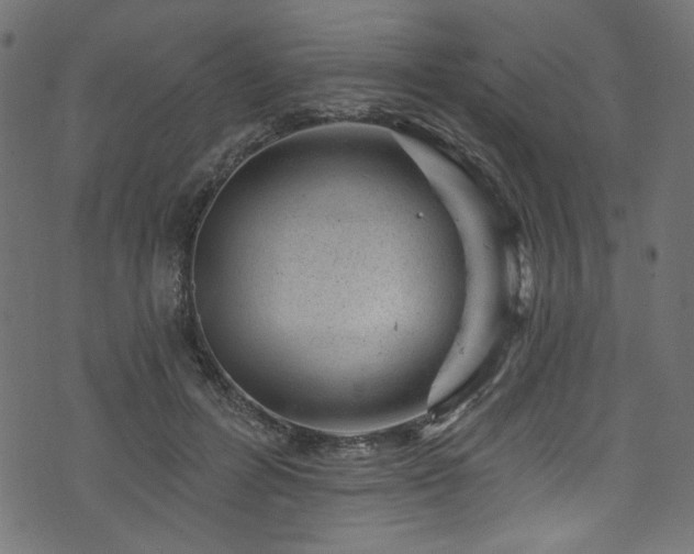 X0000074040600200608281446