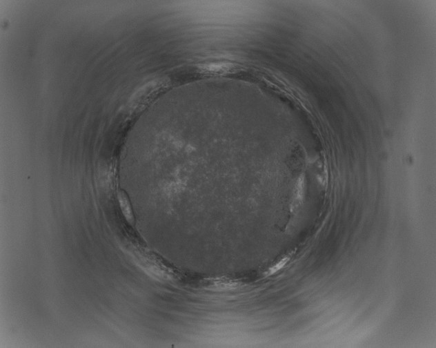 X0000074040601200608281446