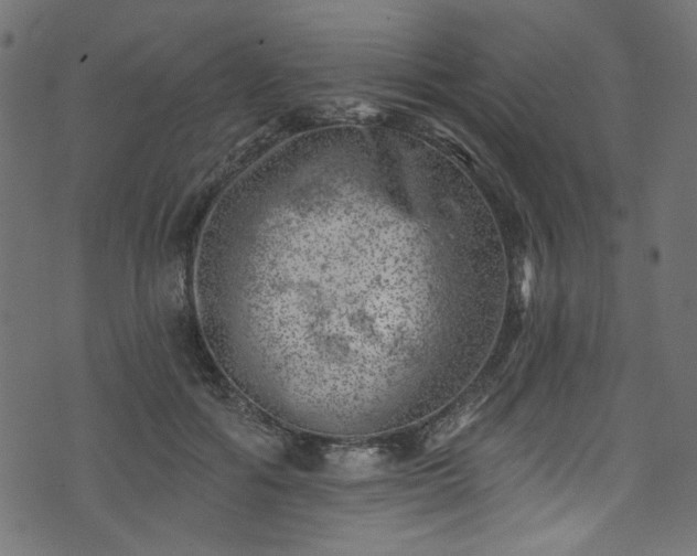 X0000074040602200608281446