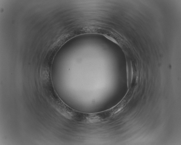 X0000074040603200608281446