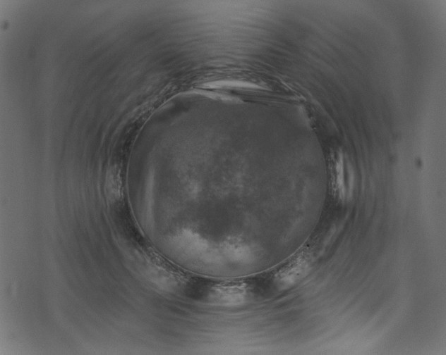 X0000074040606200608281446