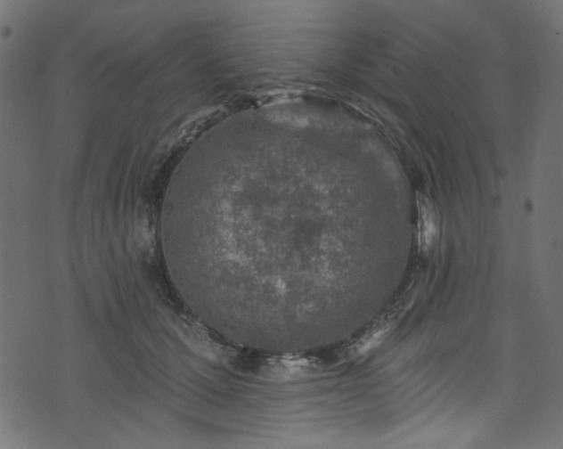 X0000074040607200608281446