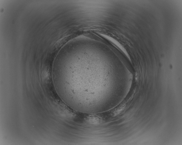 X0000074040608200608281446