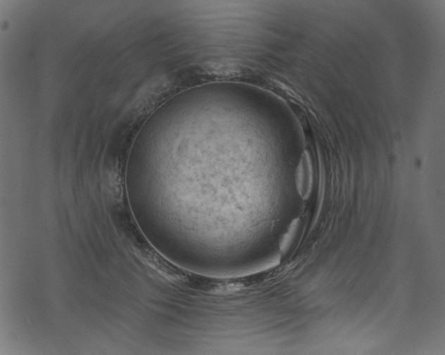 X0000074040609200608281446