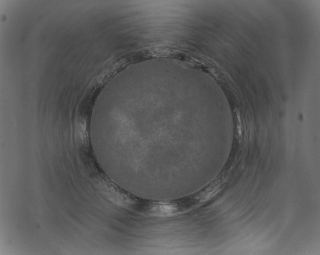 X0000074040610200608281446