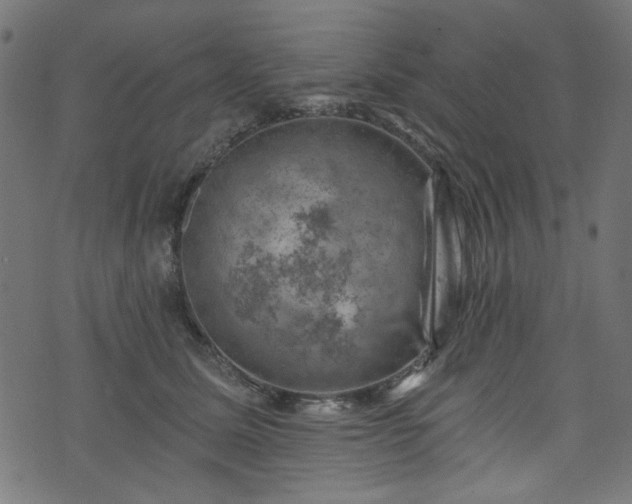 X0000074040611200608281446