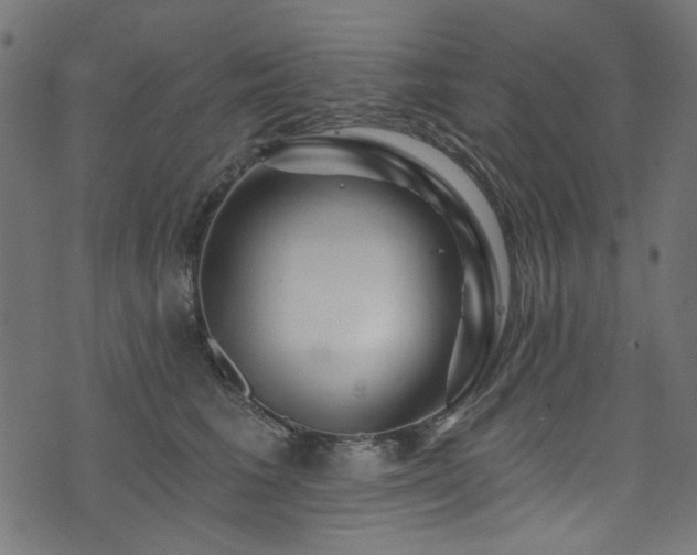 X0000074040613200608281446