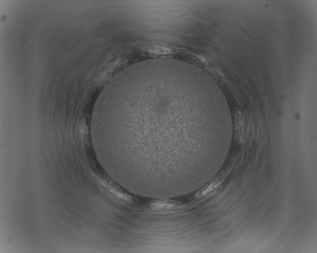 X0000074040614200608281446