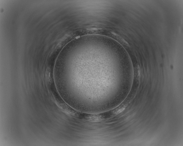 X0000074040615200608281446