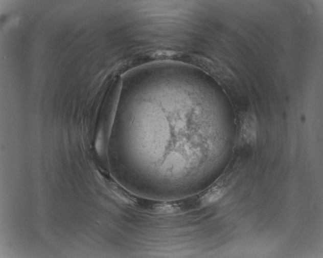 X0000074040616200608281446