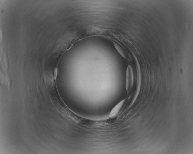 X0000074040617200608281446