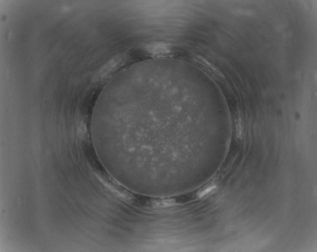 X0000074040618200608281446