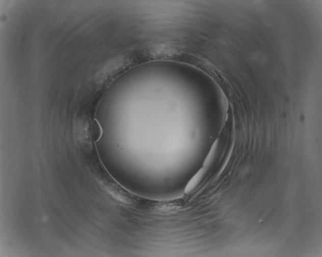 X0000074040619200608281446